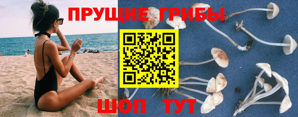 Галлюциногенные грибы прущие грибы Семёнов